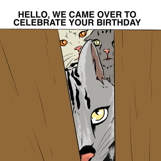 Hello We Came Over To Celebrate Your Birthday Cats Confetti-exploding Greetings Card