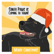 Merry Christmas Santa Paws Is Coming To Town Black Labrador Confetti-exploding Greetings Card