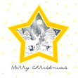 Merry Christmas Golden Star And Deer Confetti-exploding Greetings Card