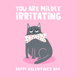 Grumpy Cat Mildly Irritating Valentine's Day Confetti-exploding Greetings Card