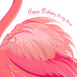 Happy Birthday Flamingo Feathers Confetti-exploding Greetings Card