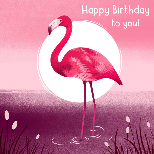 Happy Birthday Flamingo And Sunrise Confetti-exploding Greetings Card