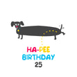Happy 25th Birthday Ha-Pee Dachshund Confetti-exploding Greetings Card