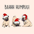 Bahhh Humpug! Pug Christmas Confetti-exploding Greetings Card