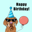 Cool Vizsla Dog With Balloon Happy Birthday Confetti-exploding Greetings Card