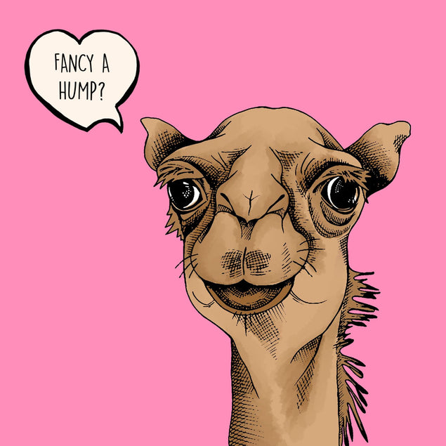 Fancy A Hump Confetti-exploding Greetings Card