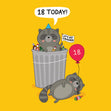 18 Today Let's Get Trashed Cute Racoons Confetti-exploding Greetings Card