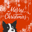 Merry Christmas Cute Border Collie And A Bone Confetti-exploding Greetings Card