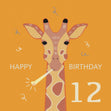 12th Birthday Giraffe Confetti-exploding Greetings Card