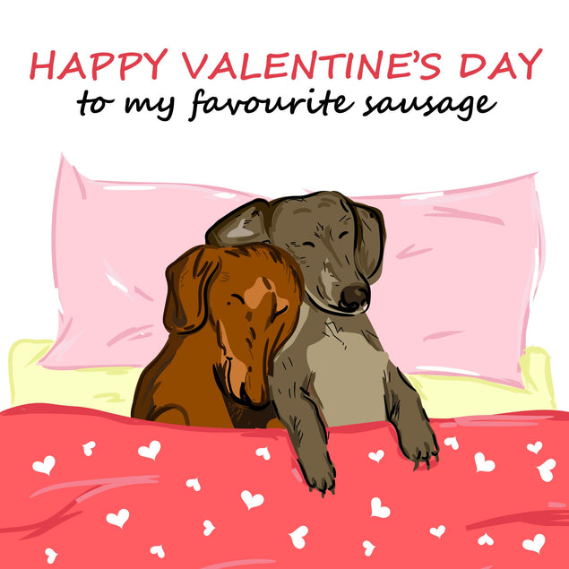 Happy Valentine's Day To My Favourite Sausage Cute Dachshunds Confetti-exploding Greetings Card