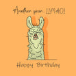 Happy Birthday Another Year... LLMAO Confetti-exploding Greetings Card