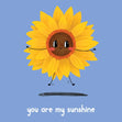 You Are My Sunshine Confetti-exploding Greetings Card