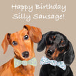 Happy Birthday Silly Sausage Dachshund Confetti-exploding Greetings Card
