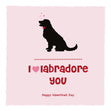 I Labradore You Cute Black Labradore Valentine's Day Confetti-exploding Greetings Card