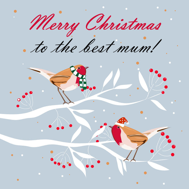 Merry Christmas The Best Mum Robins Sitting On Branches Confetti-exploding Greetings Card