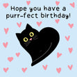 Hope you have a Purr-Fect Birthday Confetti-exploding Greetings Card