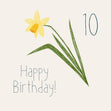 Cute Yellow Flower Happy 10th Birthday Confetti-exploding Greetings Card