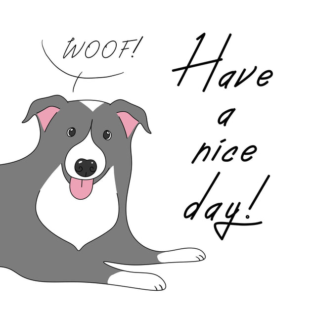 Woof! Have A Nice Day! Border Collie Confetti-exploding Greetings Card