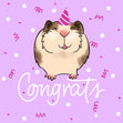 Congrats Cute Smiling Guinea Pig Confetti-exploding Greetings Card