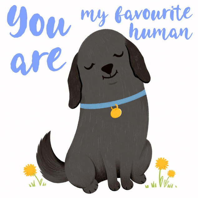 Black Labrador You're My Favourite Human Confetti-exploding Greetings Card