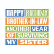 Another Year Of Surviving My Sister Brother-in-law Birthday Confetti-exploding Greetings Card