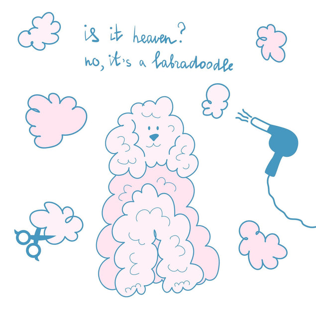 Is It Heaven? Labradoodle Confetti-exploding Greetings Card