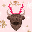 Merry Christmas Fluffy Cow With Deer Horns Confetti-exploding Greetings Card