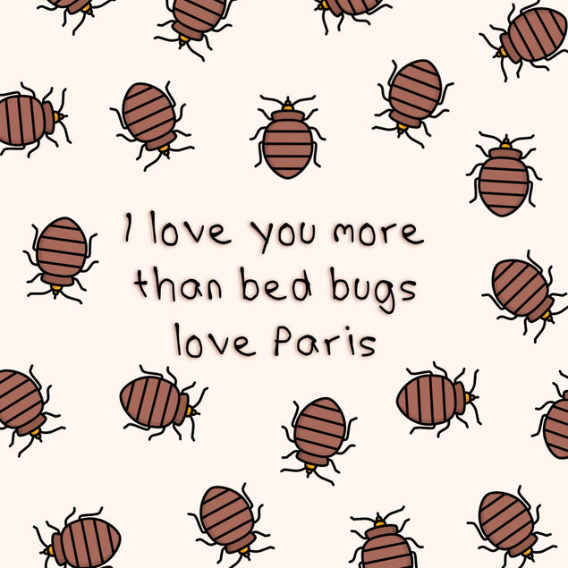 Bed Bug Love Confetti-exploding Greetings Card