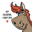 I Don't Bite Horse Valentine's Day Confetti-exploding Greetings Card