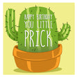 Cactus Happy Birthday Prick Confetti-exploding Greetings Card