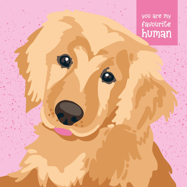 Golden Labrador On A Pink Background You're My Favourite Human Confetti-exploding Greetings Card