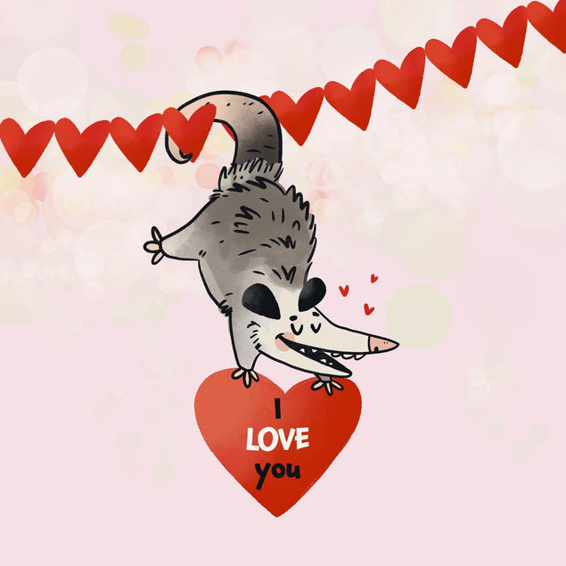 Possum I Love You Valentine's Day Confetti-exploding Greetings Card