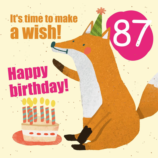 Make a Wish 87th Birthday Confetti-exploding Greetings Card