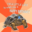 I Am A Little Late To Wish You A Happy Birthday Turtle Confetti-exploding Greetings Card