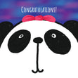 Purple Blue Background Panda Congratulations Confetti-exploding Greetings Card