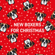 Boxers For Christmas Confetti-exploding Greetings Card