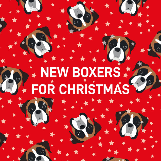 Boxers For Christmas Confetti-exploding Greetings Card