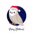 Merry Christmas A Cute Owl Wearing A Hat Confetti-exploding Greetings Card
