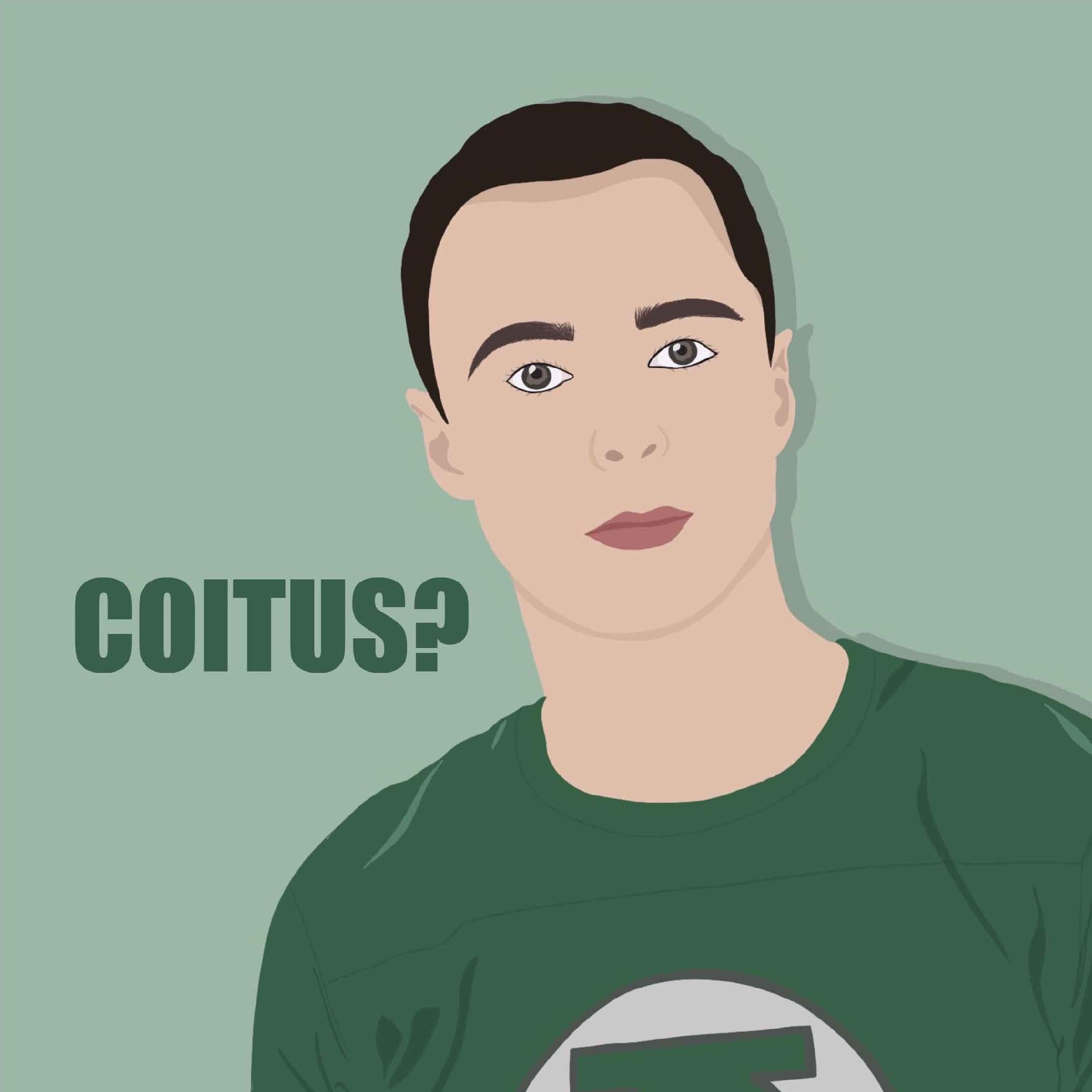 Coitus Sheldon Big Bang Theory Confetti-exploding Greetings Card – Boomf