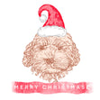 Merry Christmas And Happy New Year Cute Bichon Frise Confetti-exploding Greetings Card