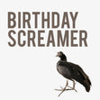 Rude Bird Birthday Screamer Confetti-exploding Greetings Card