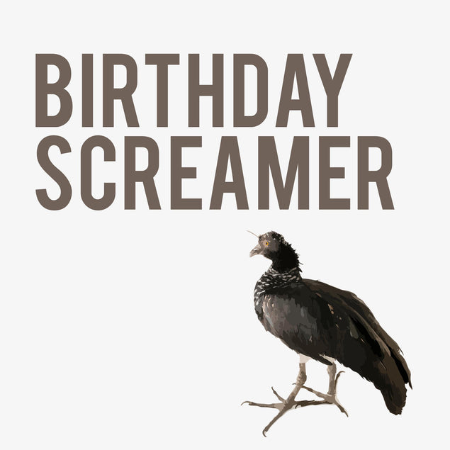 Rude Bird Birthday Screamer Confetti-exploding Greetings Card