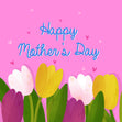Pink Themed Tulips Happy Mother's Day Confetti-exploding Greetings Card