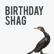 Rude Bird Birthday Shag Confetti-exploding Greetings Card