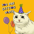 You Are Getting Older Happy Birthday Cat Confetti-exploding Greetings Card