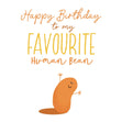Favourite Human Bean Confetti-exploding Greetings Card