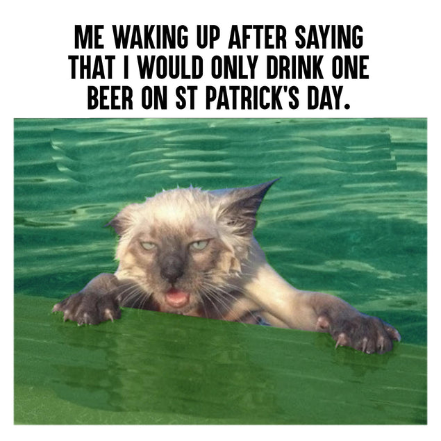 Cat Meme St. Patrick's Day Confetti-exploding Greetings Card