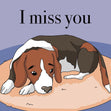 I Miss You Beagle Confetti-exploding Greetings Card