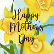 Yellow Daffodils Happy Mother's Day Confetti-exploding Greetings Card