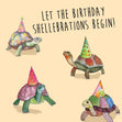 Let The Birthday Shellebrations Begin Festive Turtles Birthday Confetti-exploding Greetings Card
